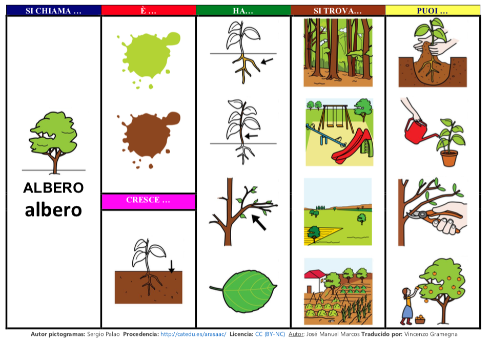 MAPPA SEMANTICA E LIBRO DI COMUNICAZIONE SULL'ALBERO.